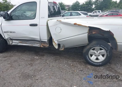 2002 Dodge Ram 1500 St из США, поврежденный, VIN 1D7HA16N32J254569